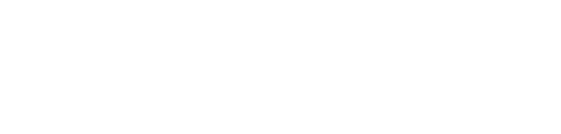 南大阪国際語学学校｜セカンドロゴマーク